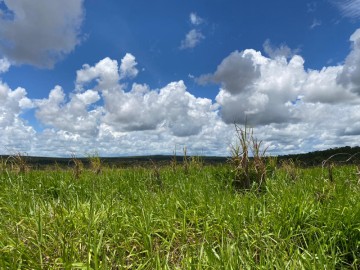 Fazenda  Venda