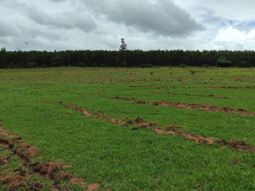 Rural  Venda